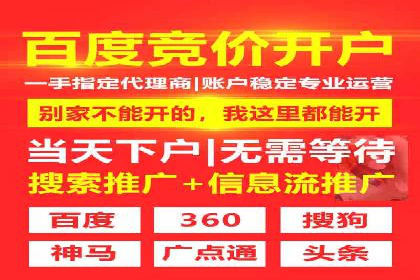 SEM投放策略：成功案例解析